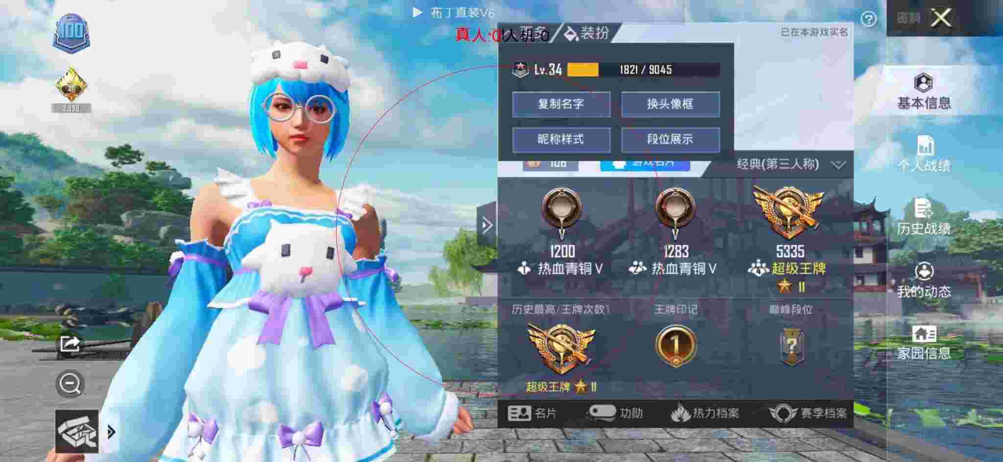 和平精英透视自瞄 - 和平精英狗狗套装图片辅助预览图